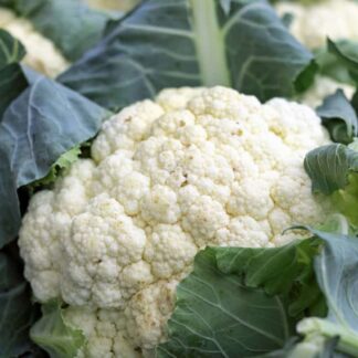 coliflor verduras biozaki comprar