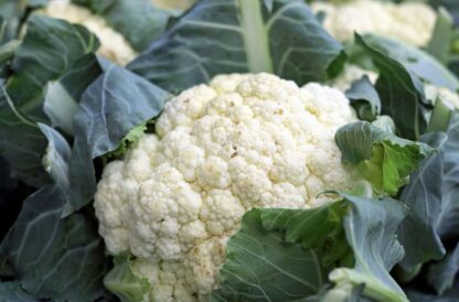 coliflor verduras biozaki comprar